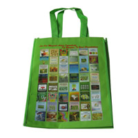 抚州LB11覆膜无纺布广告袋